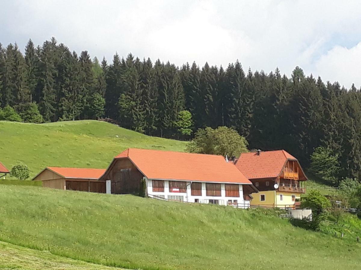 Ferienwohnung Duernberger Liebenfels Extérieur photo